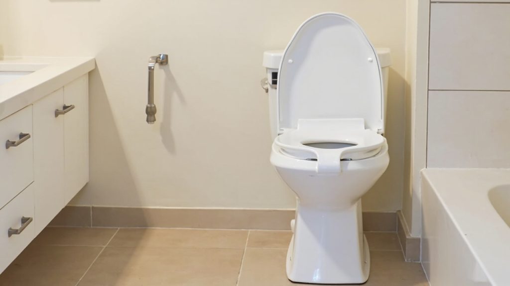 How to choose the right bidet seat for your sugar